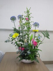 IMG_8282-1
