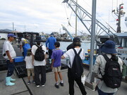 シラスを知ろう様子 (1)