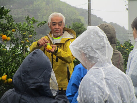 みかん1講師の説明