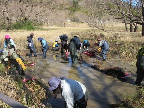 小さな命と大きな環境_第3回