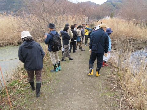 あさはた緑地の散策