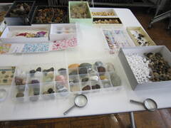 IMG_3593 IMG_3593